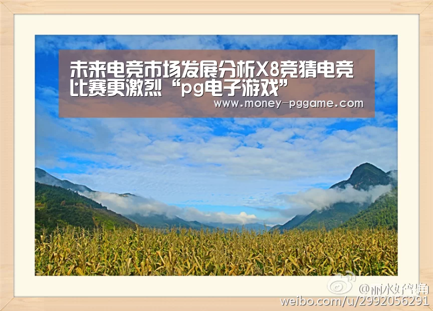 未来电竞市场发展分析X8竞猜电竞比赛更激烈“pg电子游戏”(图3) pg游戏